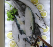 Lumiwall Bond seafood vis