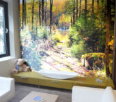 Lumiwall Natuur bos bomen