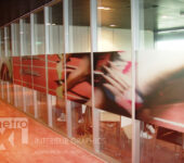 Geprint etsglas op glaswanden Full-colour