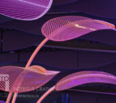 Pool sound wall absorbers baffle ceiling Sportiom den bosch 's-Hertogenbosch