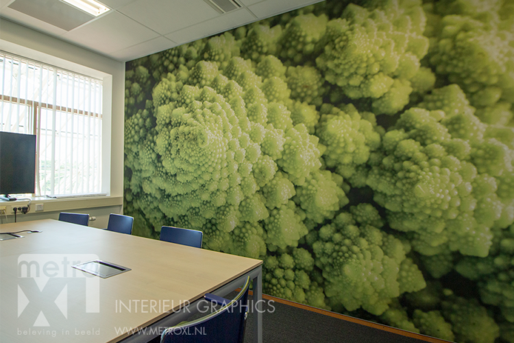 wandvullende fotoprint met broccoli HAS Hogeschool